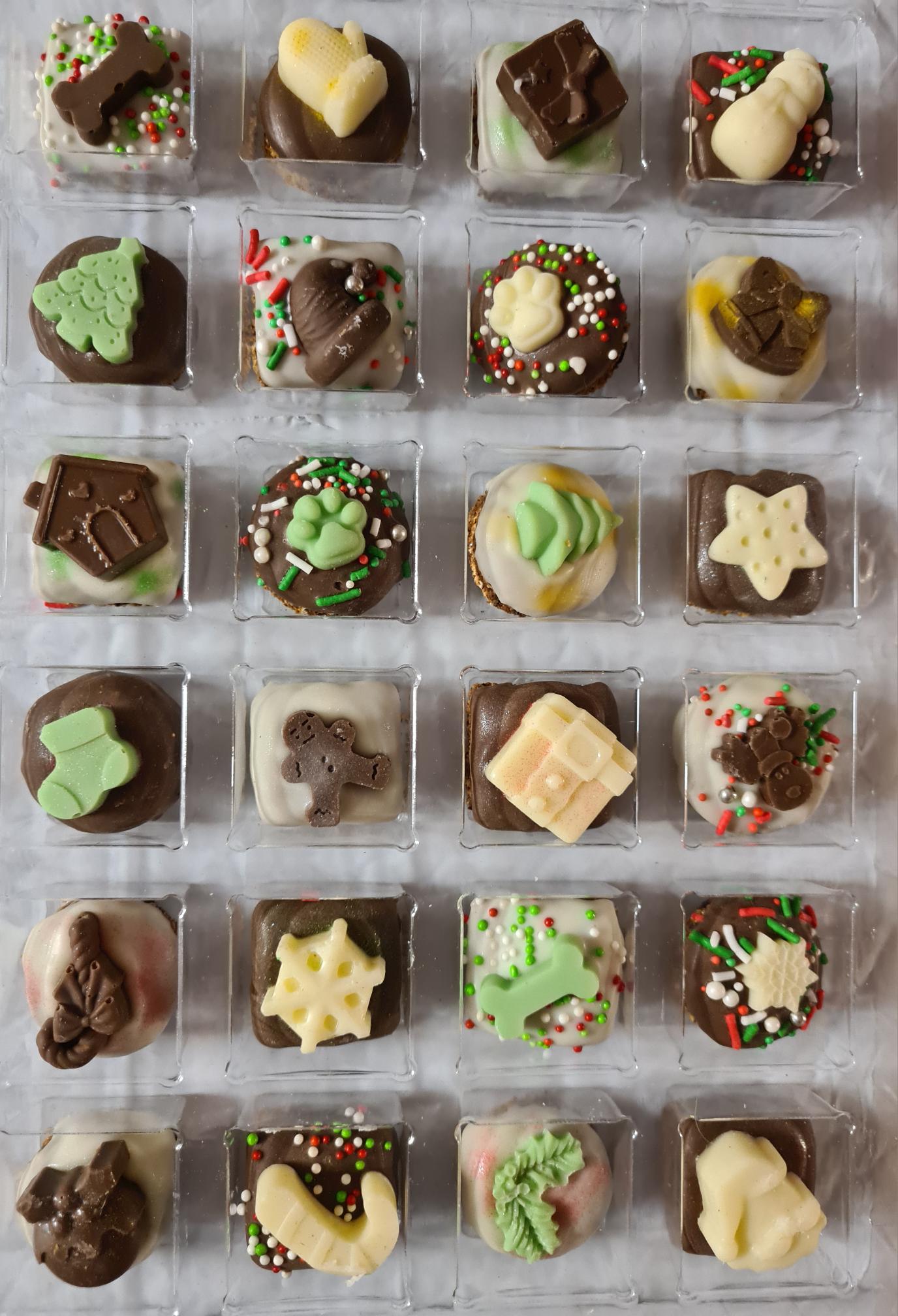 Santa Paws Advent Calendar